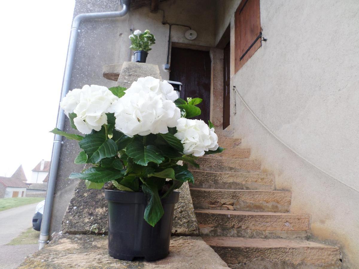 Les Marronniers Bed & Breakfast La Chapelle-sous-Brancion Eksteriør bilde